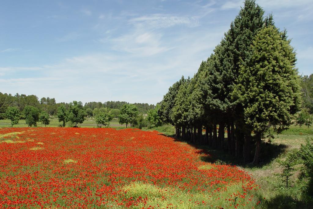 Une Campagne En Provence Bras Exteriér fotografie