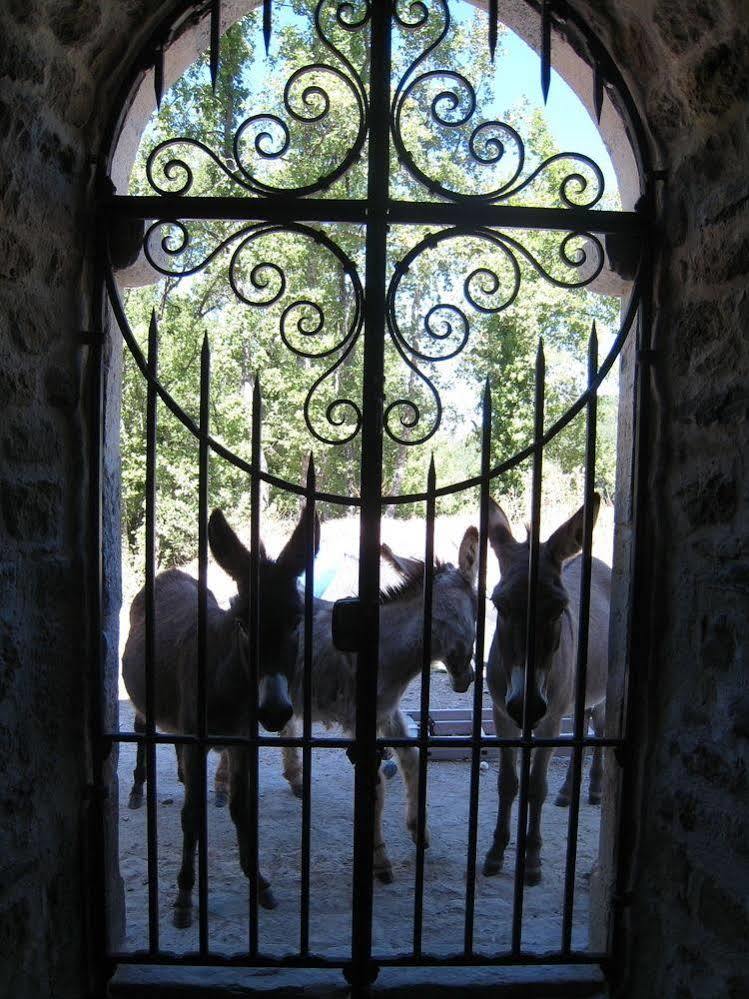 Une Campagne En Provence Bras Exteriér fotografie